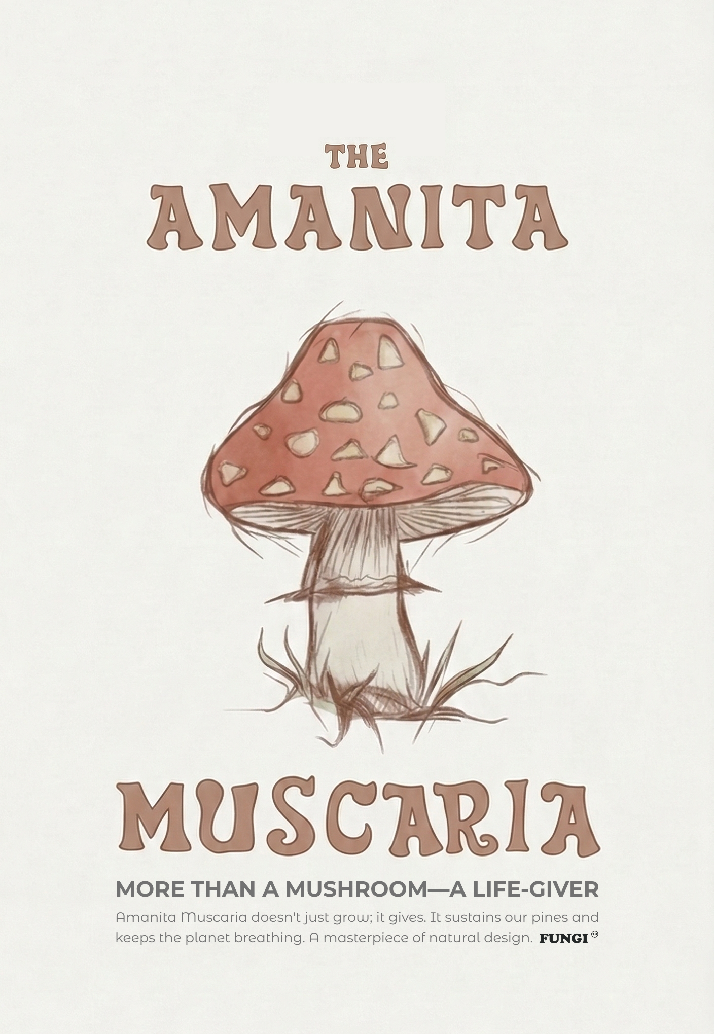 Matamoscas — Amanita muscaria